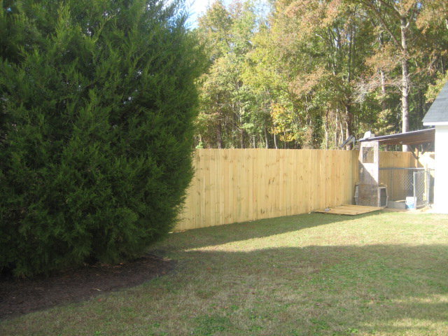 8064 Springhill Church Road Lucama, NC 27851 - Photo 14 of 21 Additional Photo