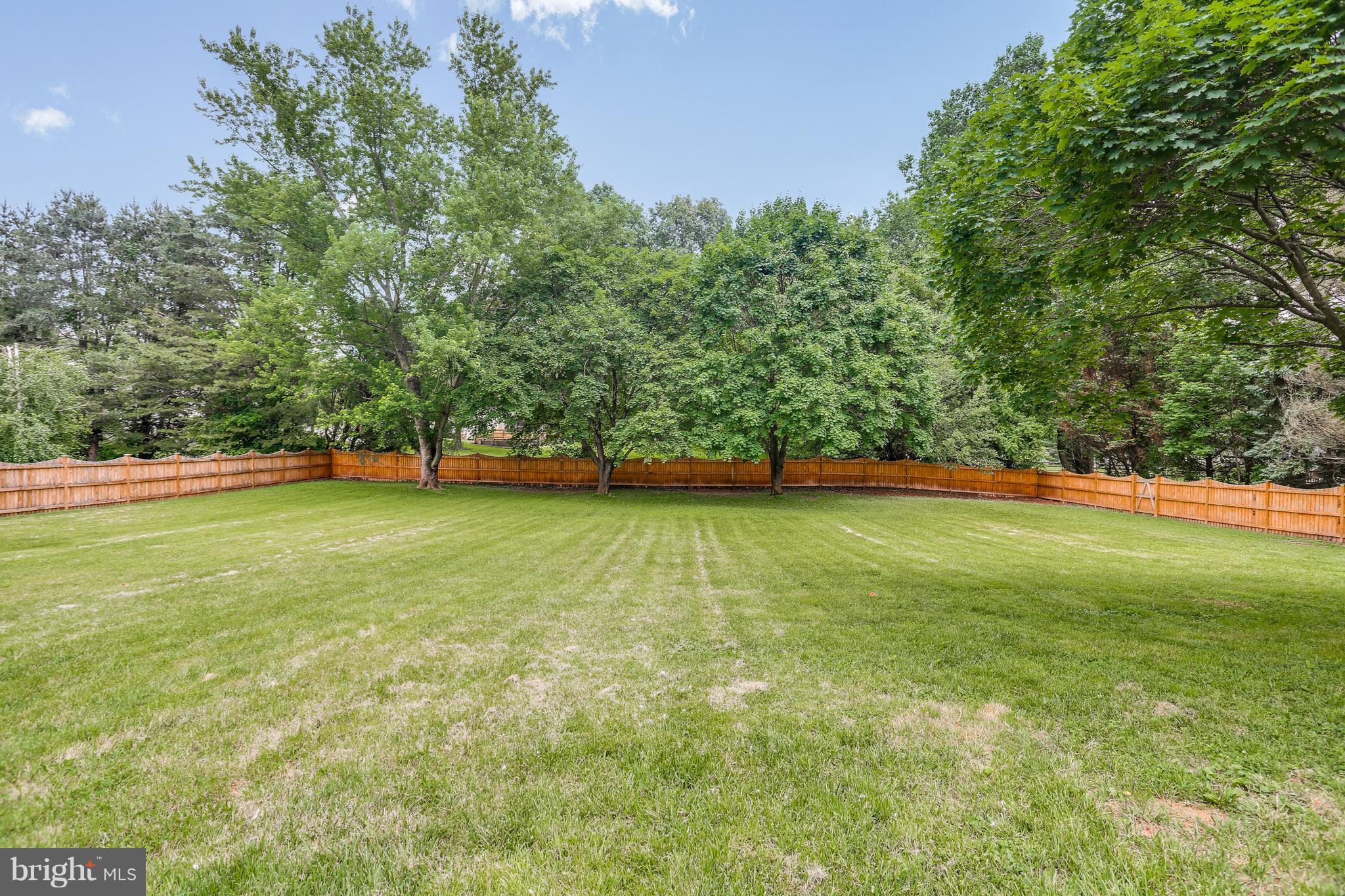 12307 Timber Grove Road Owings Mills, MD 21117 - Photo 25 of 27 Exterior (Rear)