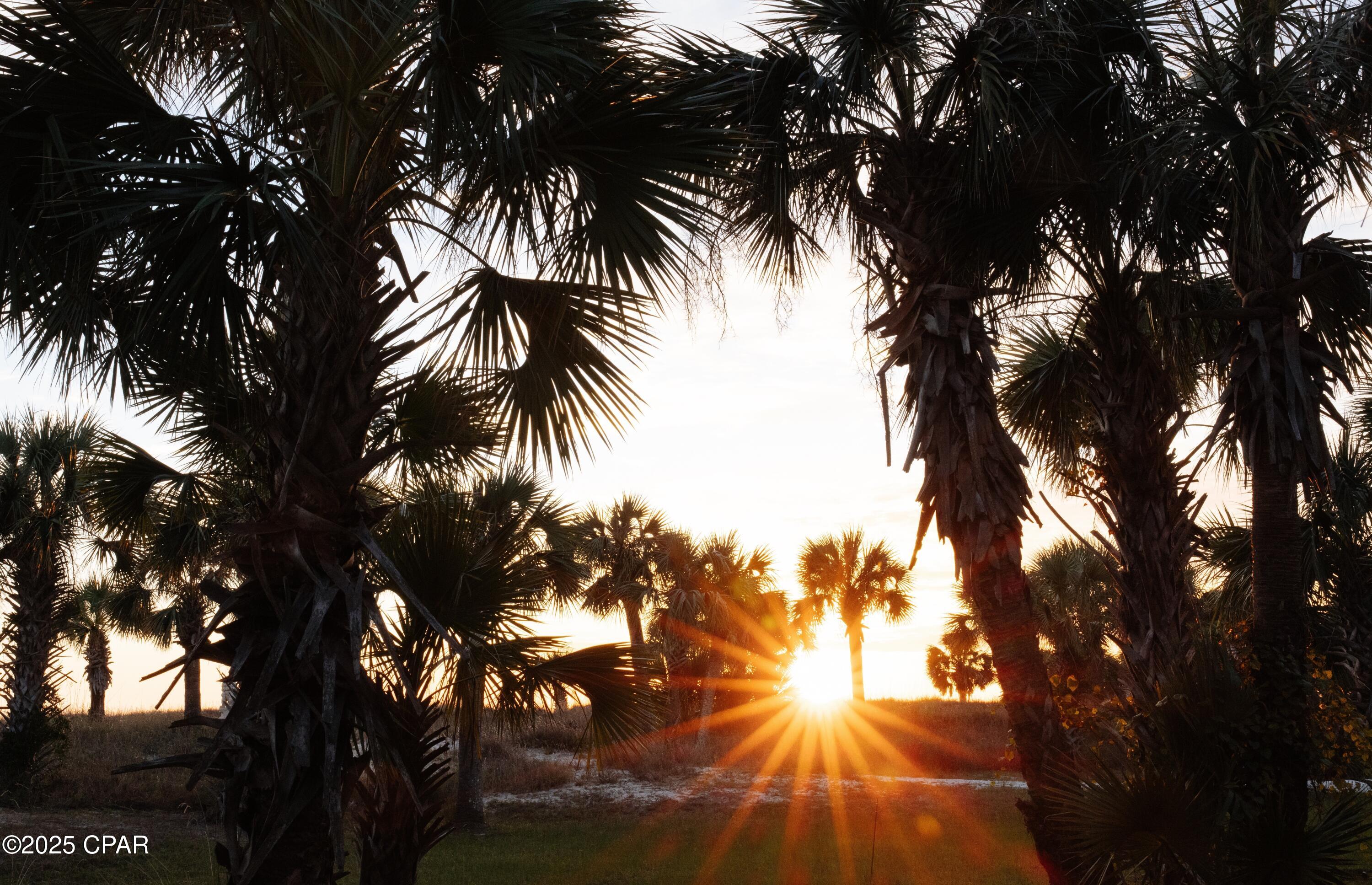 1316 Indian Pass Road Port St. Joe, FL 32456 - Photo 39 of 41