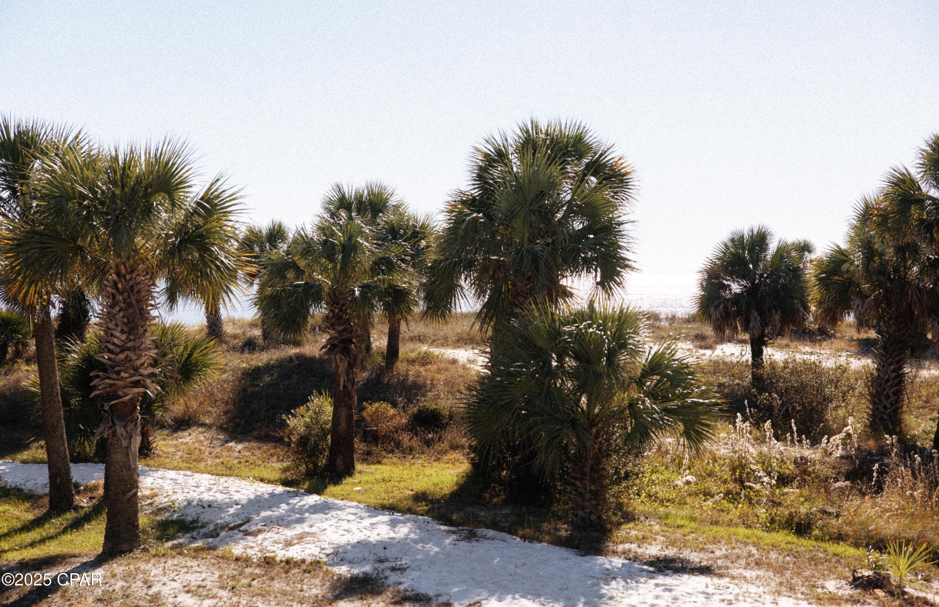 1316 Indian Pass Road Port St. Joe, FL 32456 - Photo 40 of 41