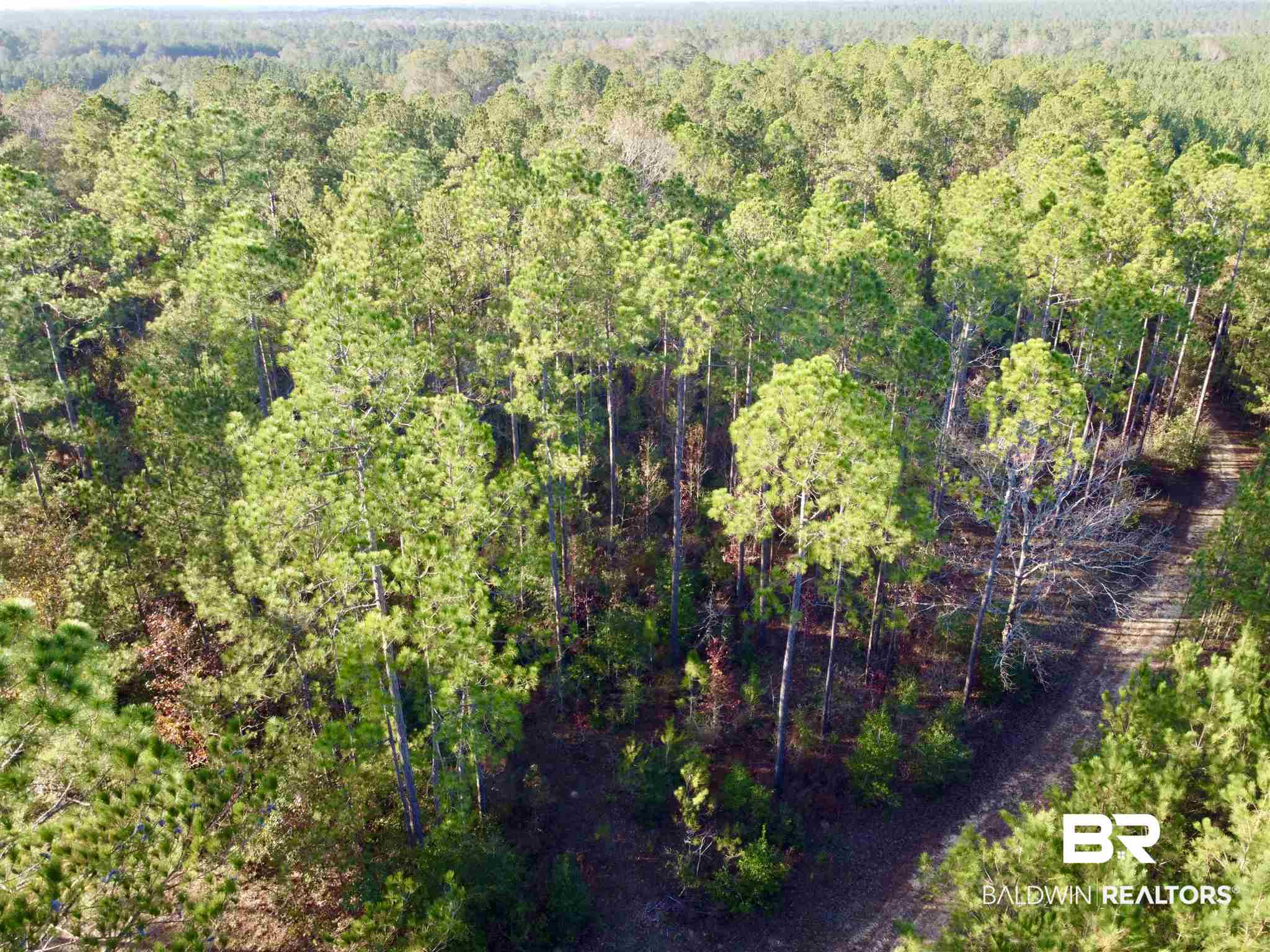 0 Whitetail Run Chatom, AL 36518 - Photo 9 of 29