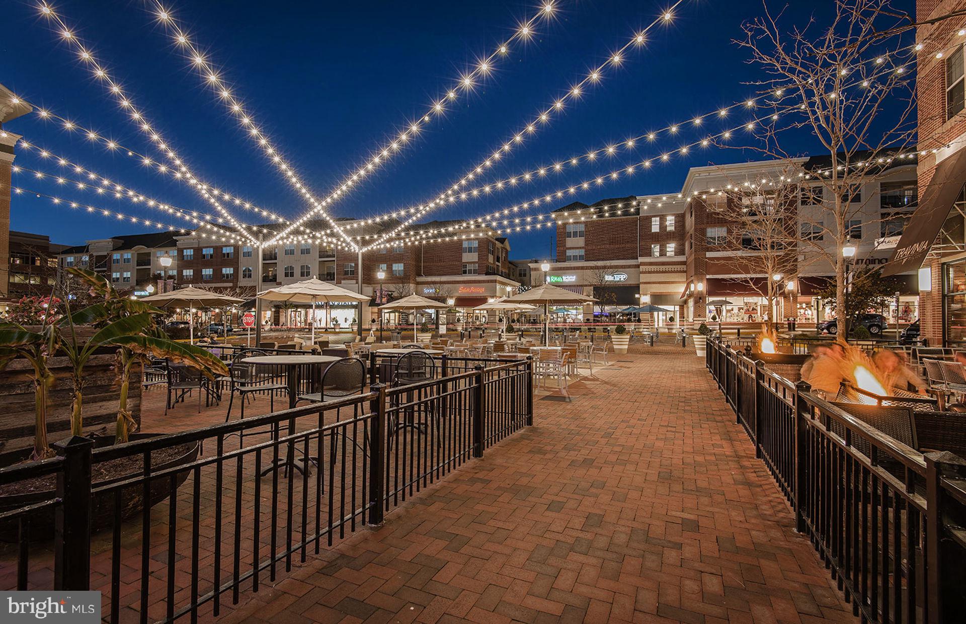 42851 Robins Perch Terrace Leesburg, VA 20176 - Photo 34 of 38 a view of a storage room
