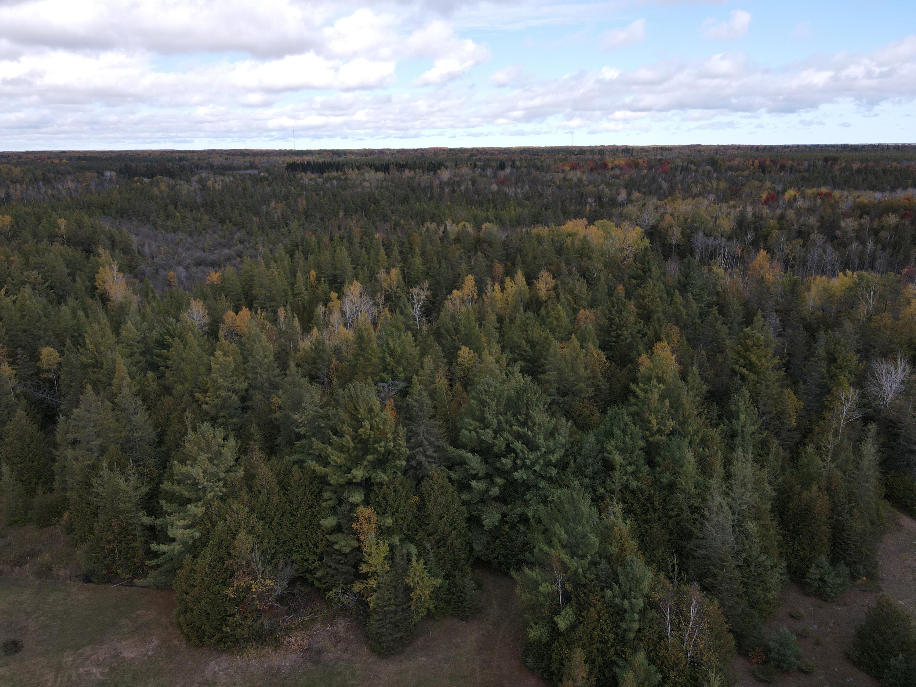 -vl French Road Alpena, MI 49707 - Photo 15 of 28 DJI_0837