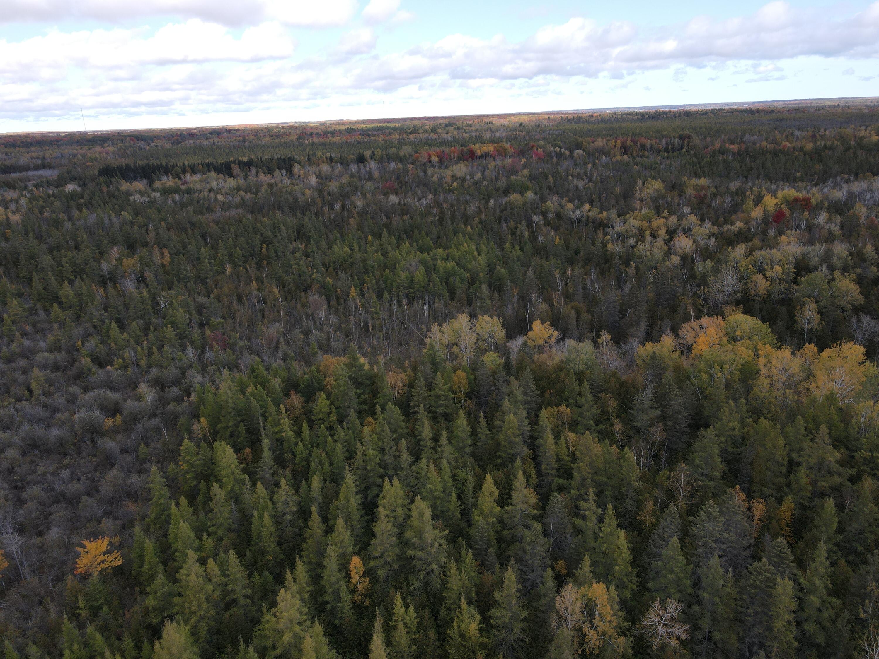 -vl French Road Alpena, MI 49707 - Photo 8 of 28 DJI_0828