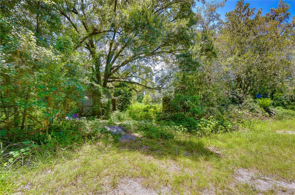3801 Pate Road Zephyrhills, FL 33541 - Photo 34 of 63 Gallery Image 34