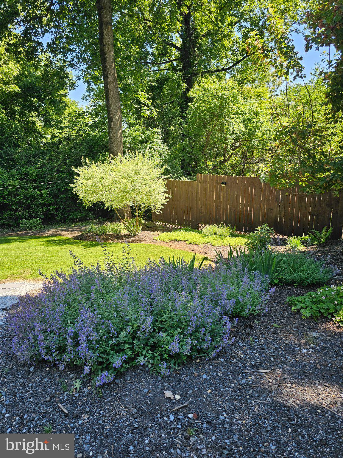 32 Parnassus Road Linden, VA 22642 - Photo 49 of 50 Lush garden with vibrant blooms.