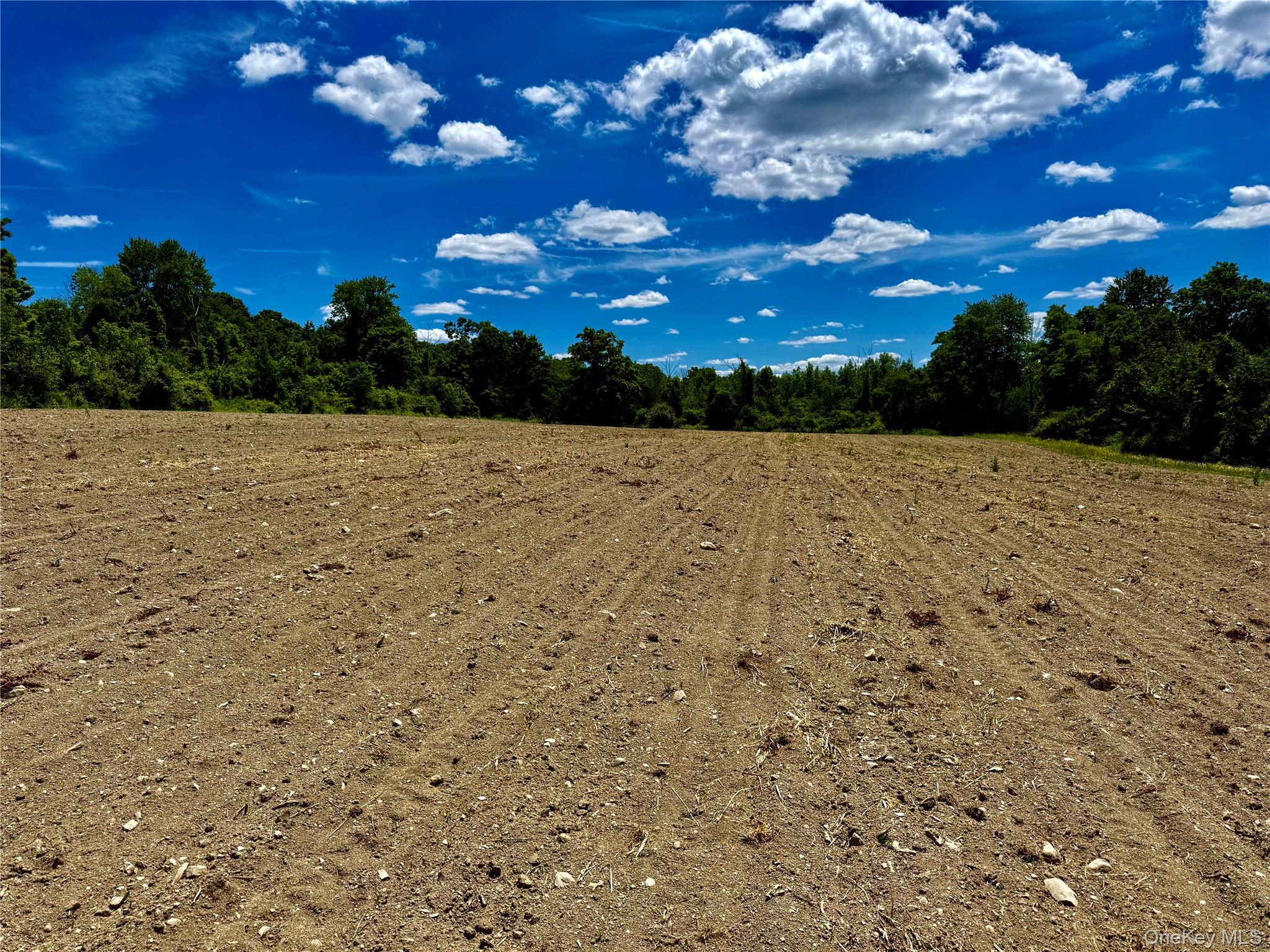 513 Rossway Road Pleasant Valley, NY 12569 - Photo 7 of 17 Field Number 2#