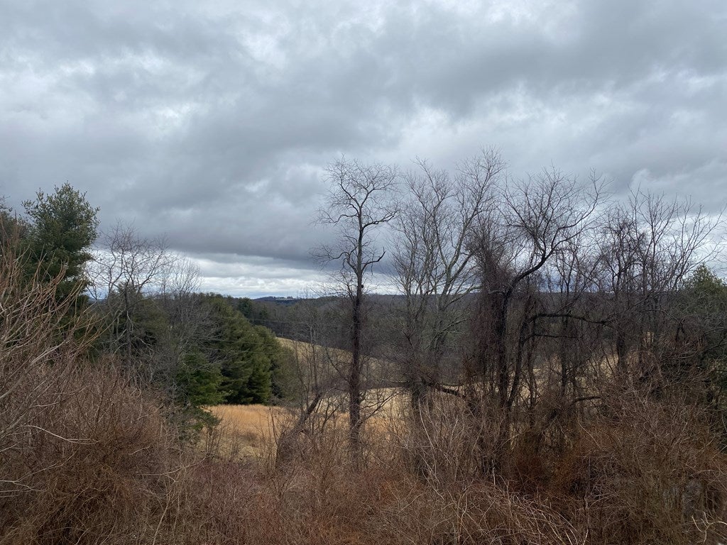 1690 Cliffview Road Galax, VA 24333 - Photo 13 of 13 Gallery Image 13