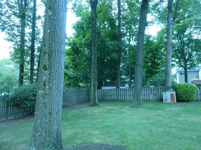 a view of a garden with a trees