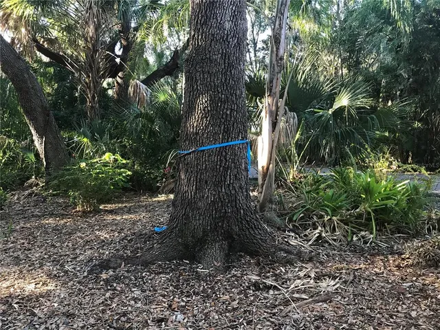 a view of outdoor space with trees
