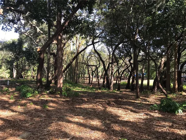 a view of dirt yard with a trees