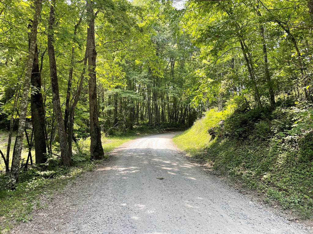 0 Old Lodge Road Topton, NC 28781 - Photo 7 of 14