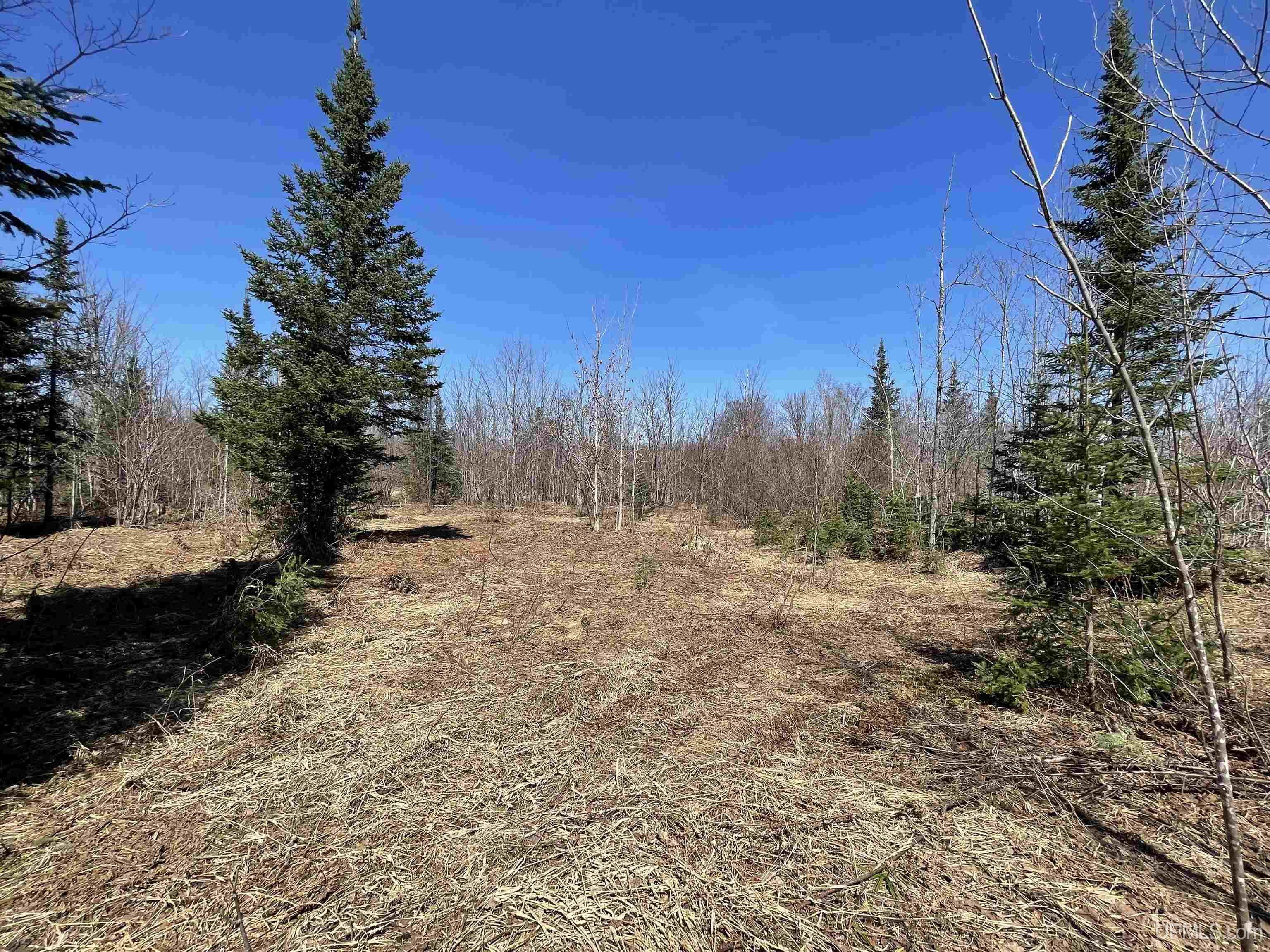 Tbd North County 519 Road Wakefield, MI 49968 - Photo 11 of 18