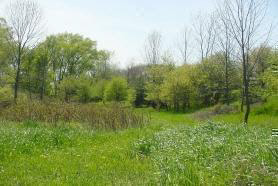0 A And B Ridge Road Applegate, MI 48401 - Photo 16 of 17 909666-15.JPG