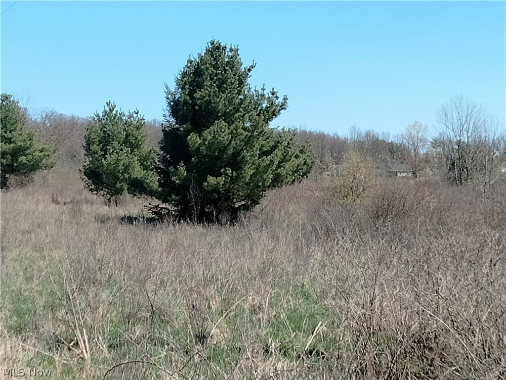 Bedell Road Berlin Center, OH 44401 - Photo 14 of 15 View of mother earth's splendor with a rural view