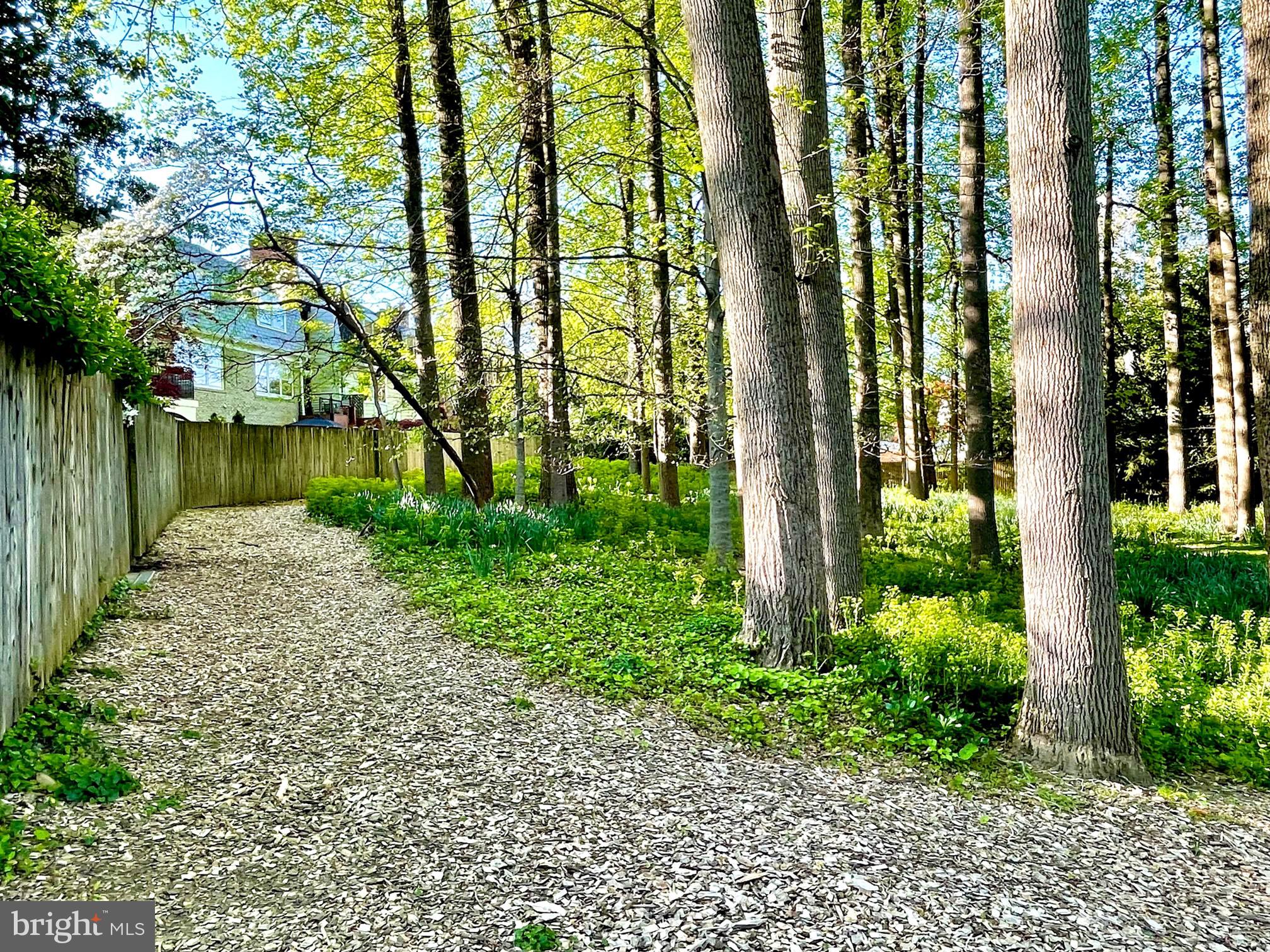 4400 Tournay Road Bethesda, MD 20816 - Photo 46 of 51 Backyard park setting!
