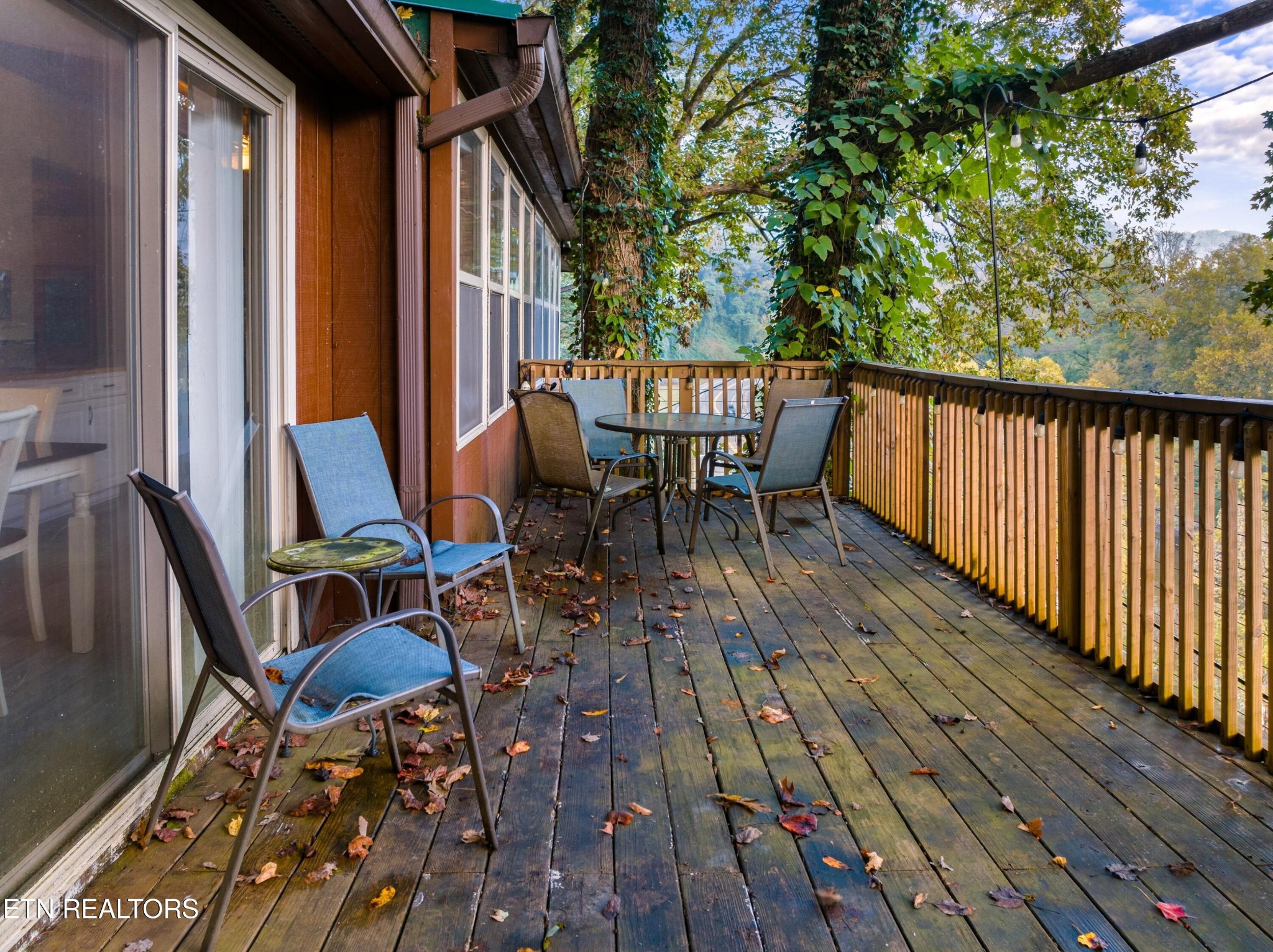 103 Long Branch Road Townsend, TN 37882 - Photo 25 of 39 Gallery Image 25