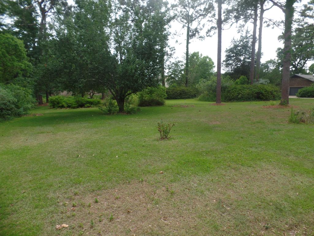 0 Brookhill Road Dothan, AL 36301 - Photo 1 of 1