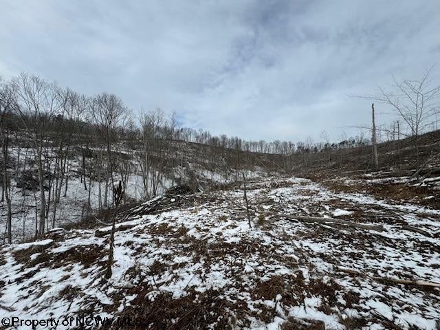 398 Hartley Run Road Le Roy, WV 25252 - Photo 18 of 23 Gallery Image 18