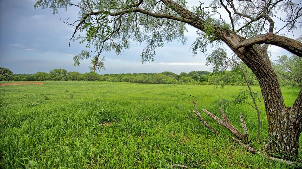 Tbd Tbd Cardwell Road Nocona, TX 76255 - Photo 19 of 30