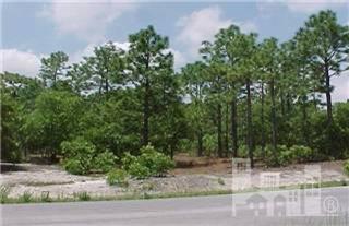 8310 River Road Wilmington, NC 28412 - Photo 2 of 2 Additional Photo