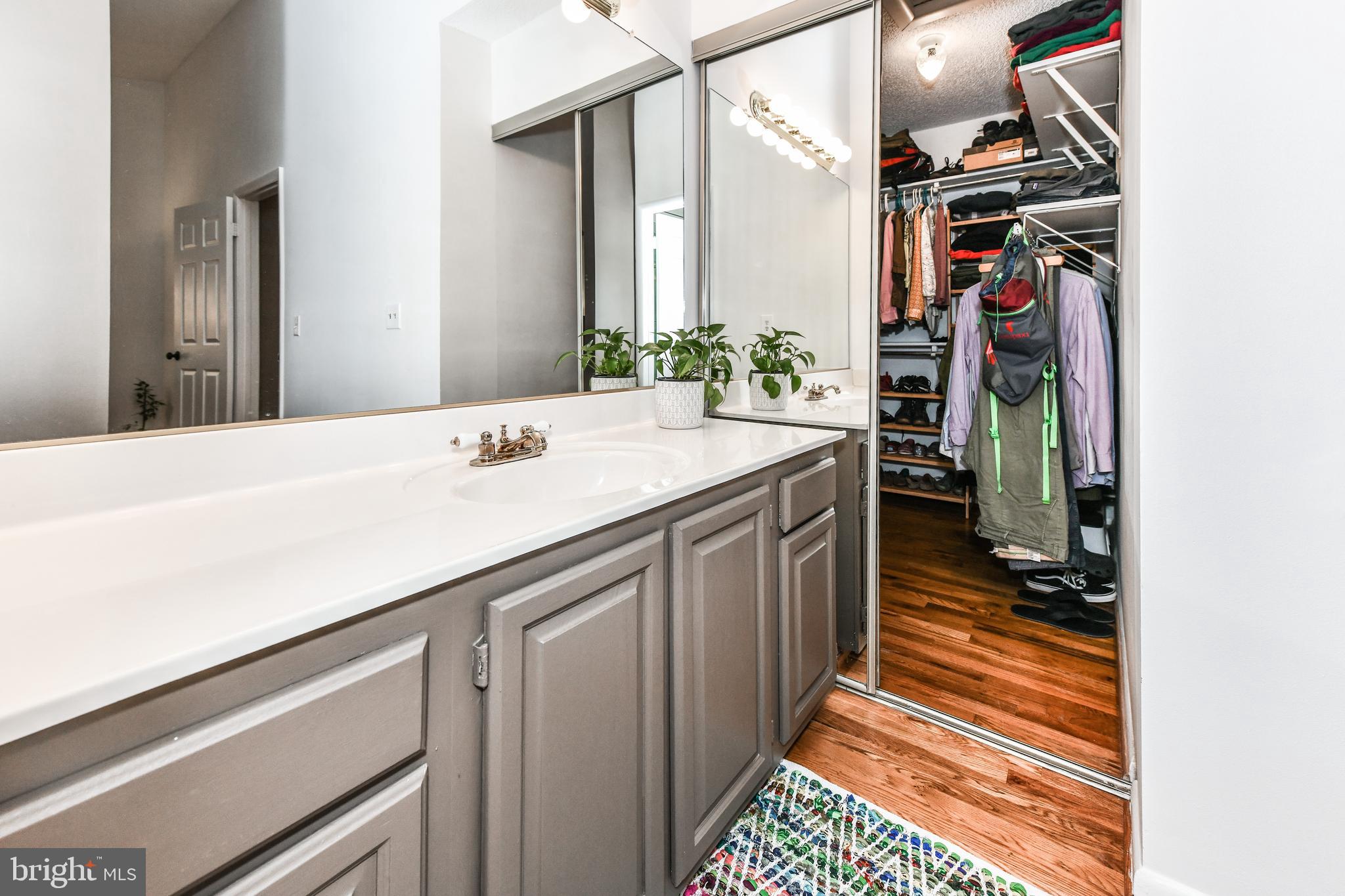1407 Newport Spring Court Reston, VA 20194 - Photo 20 of 50 Dressing Area