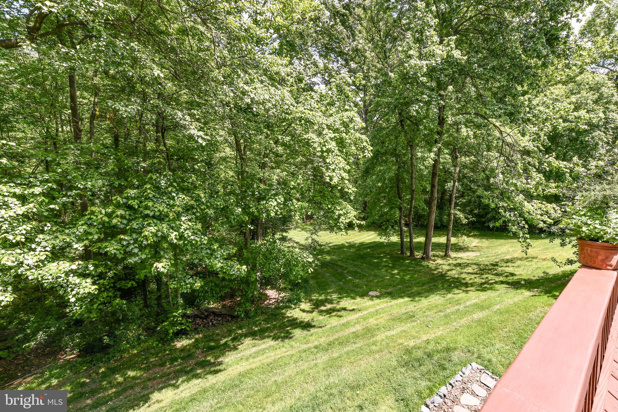1407 Newport Spring Court Reston, VA 20194 - Photo 3 of 50 Gorgeous Mature Trees