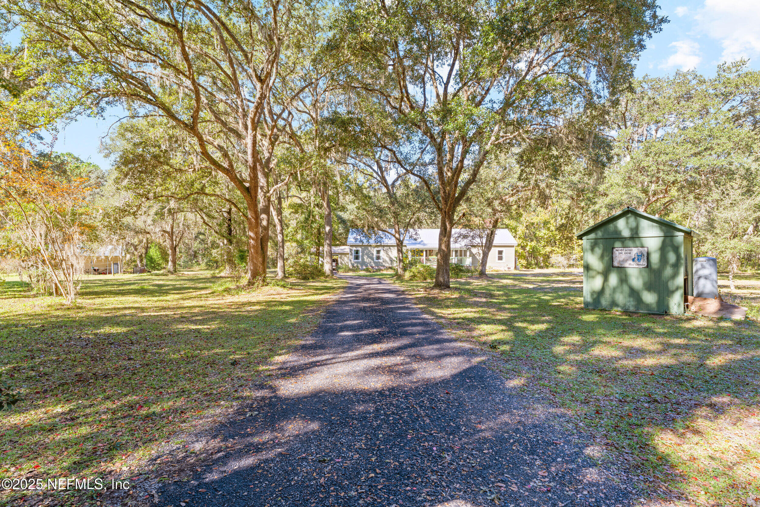 a view of road with large trees