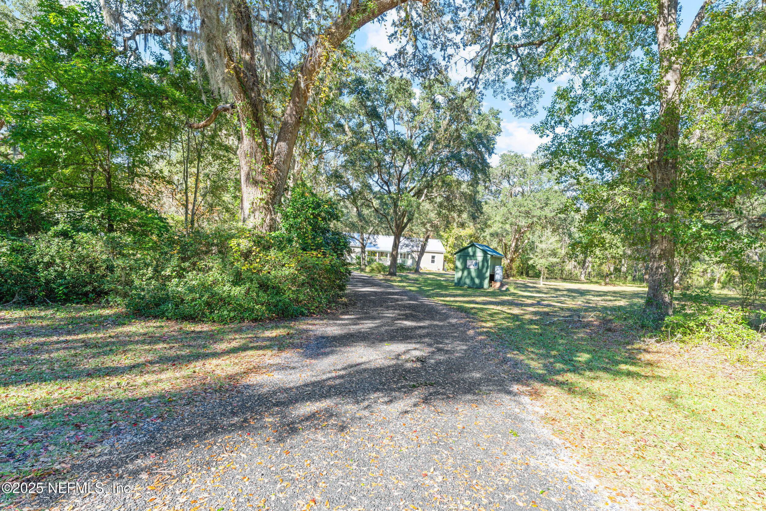 1463 Bardin Road Palatka, FL 32177 - Photo 2 of 61 a view of a yard with a tree