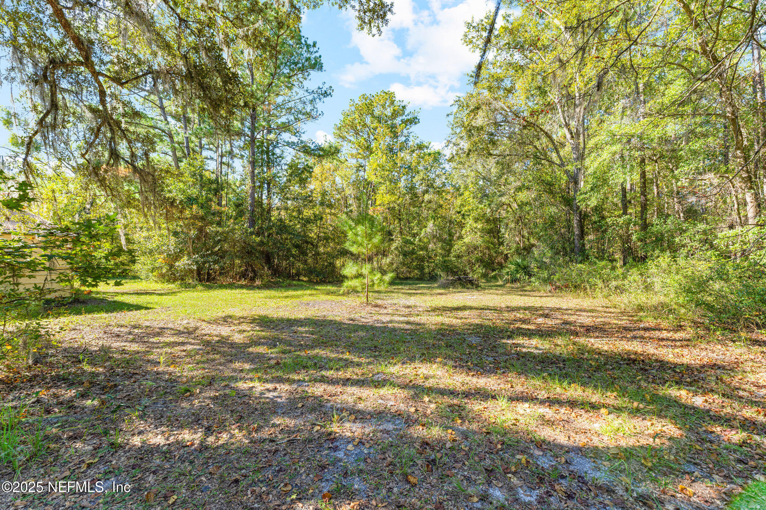1463 Bardin Road Palatka, FL 32177 - Photo 42 of 61 a view of a swimming pool and trees