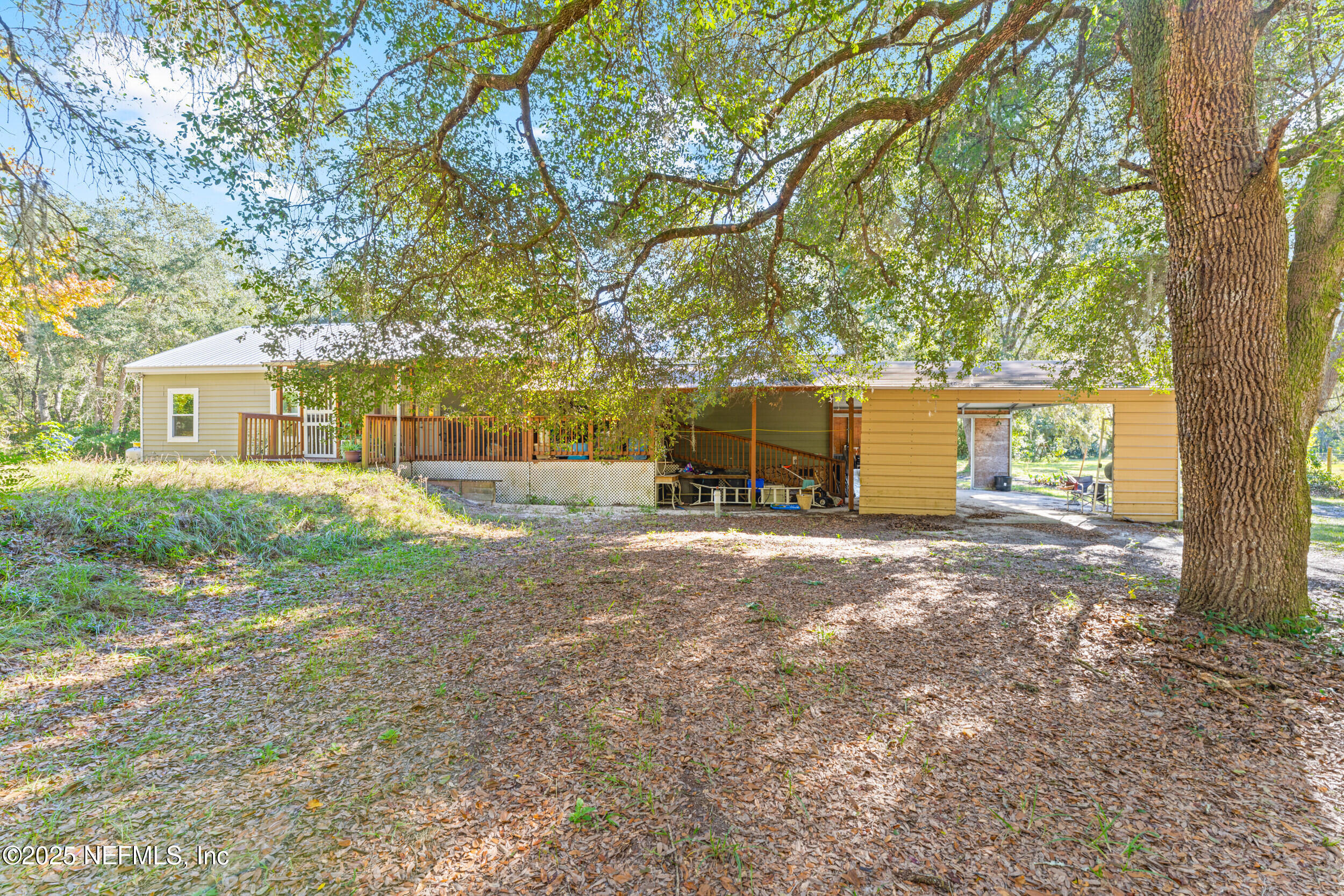 1463 Bardin Road Palatka, FL 32177 - Photo 48 of 61 a view of a yard with a tree