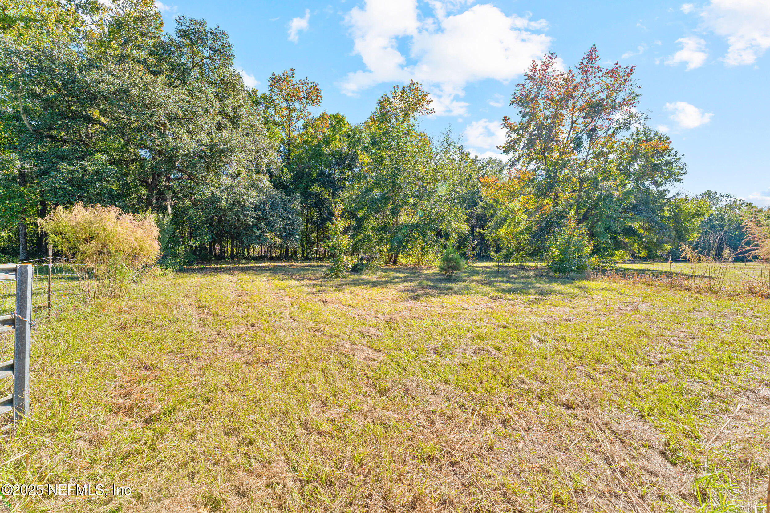 1463 Bardin Road Palatka, FL 32177 - Photo 49 of 61 a view of outdoor space with swimming pool