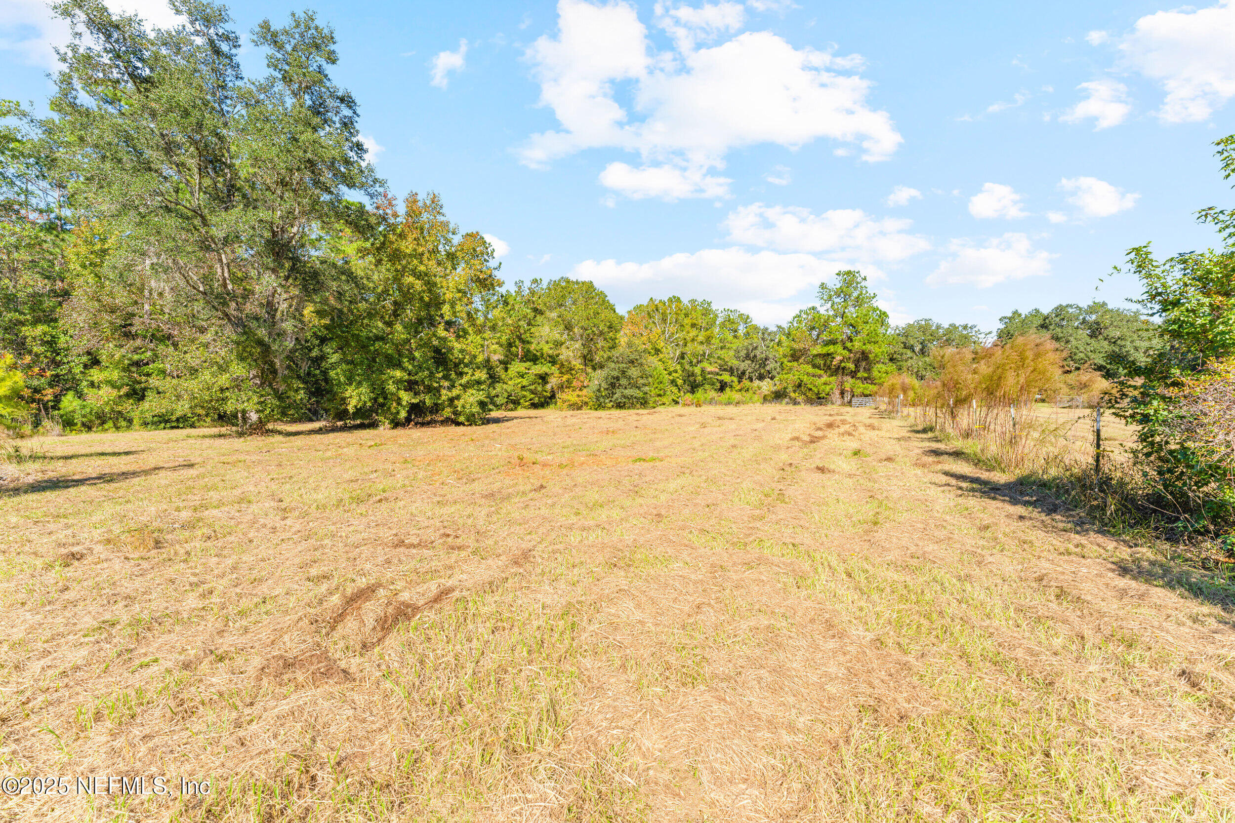 1463 Bardin Road Palatka, FL 32177 - Photo 54 of 61 a view of yard with mountain and trees in the background