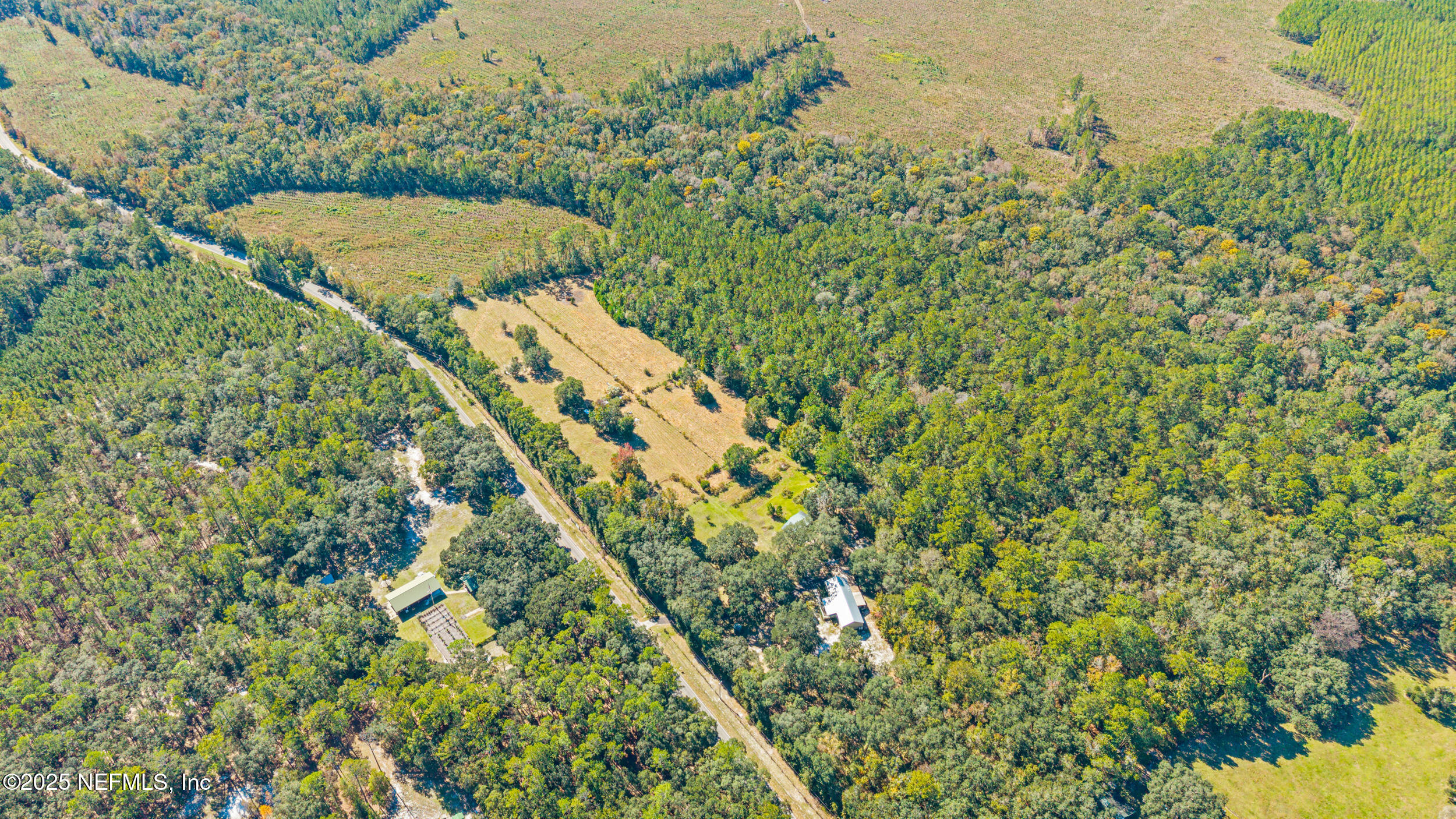1463 Bardin Road Palatka, FL 32177 - Photo 56 of 61 a view of a yard with a tree