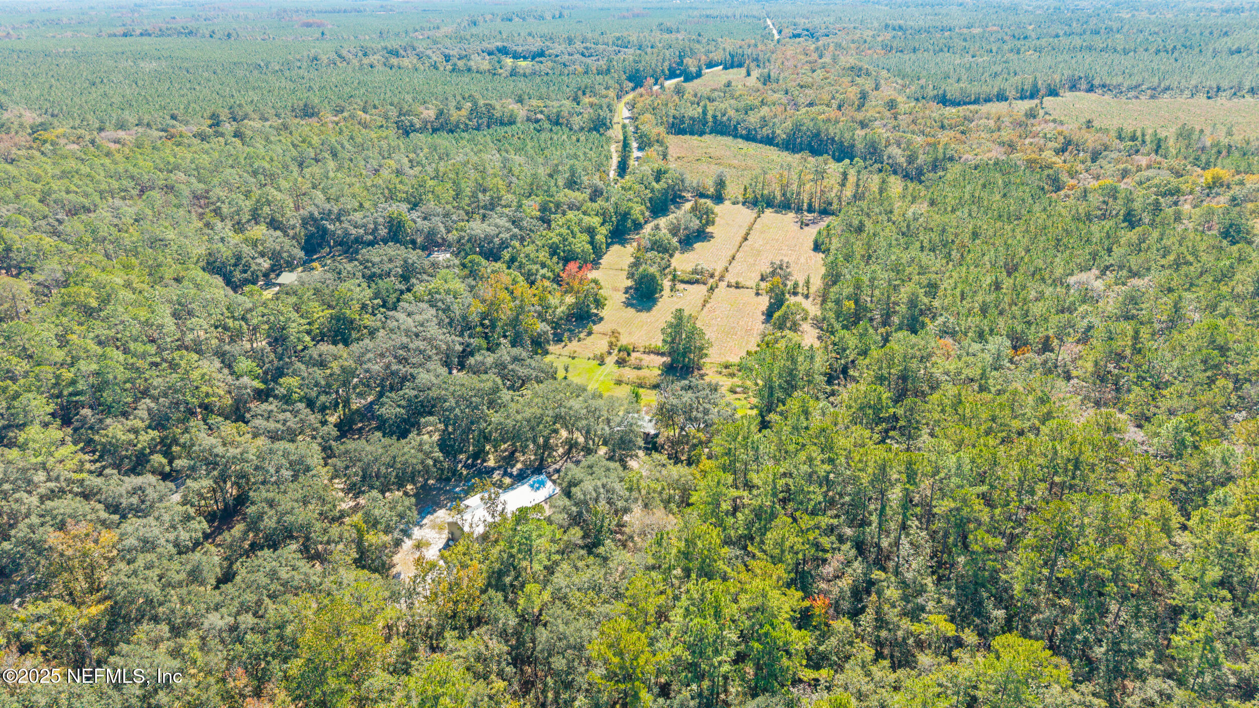 1463 Bardin Road Palatka, FL 32177 - Photo 59 of 61 54_dji_20251110112623_0031_d