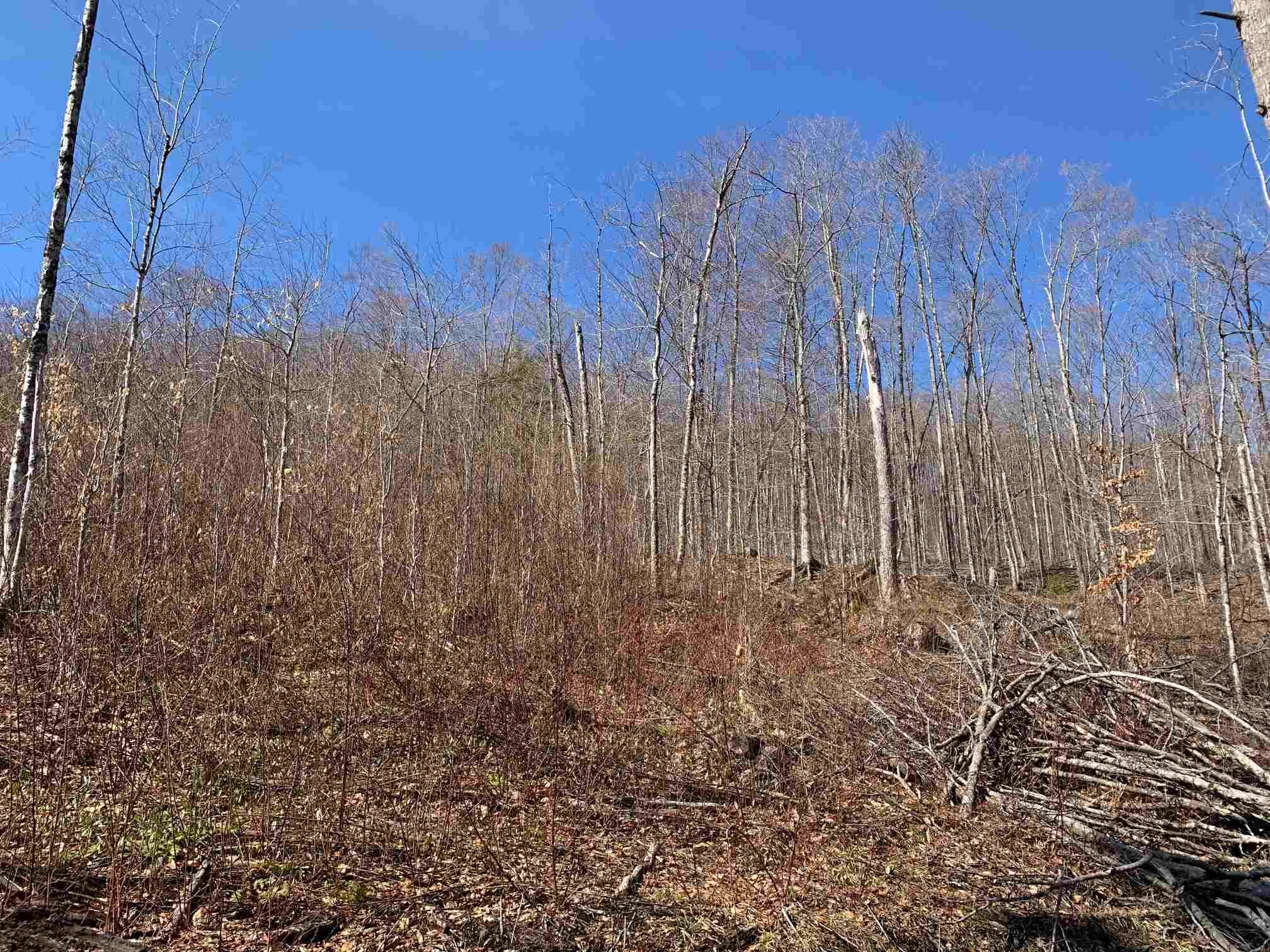 0 Moise Wood Road Island Pond, VT 05846 - Photo 15 of 19
