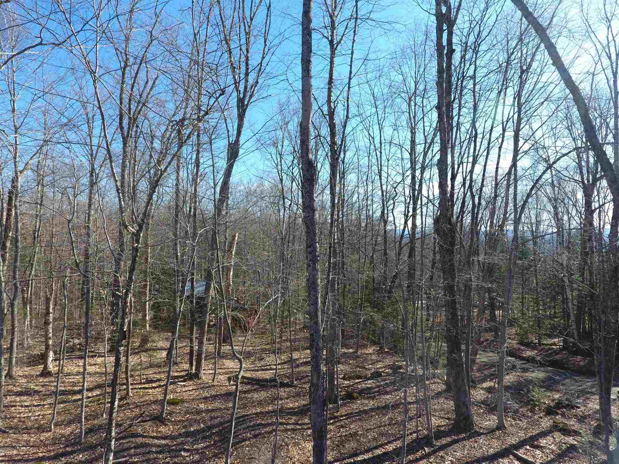 0 Moise Wood Road Island Pond, VT 05846 - Photo 3 of 19