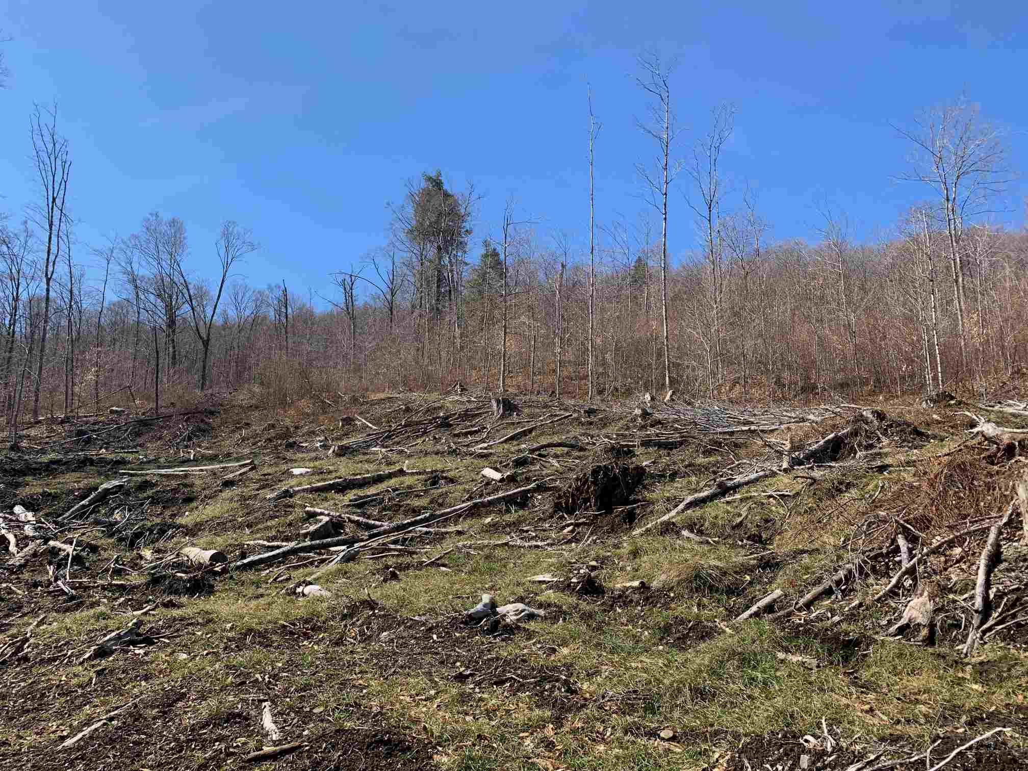 0 Moise Wood Road Island Pond, VT 05846 - Photo 4 of 19