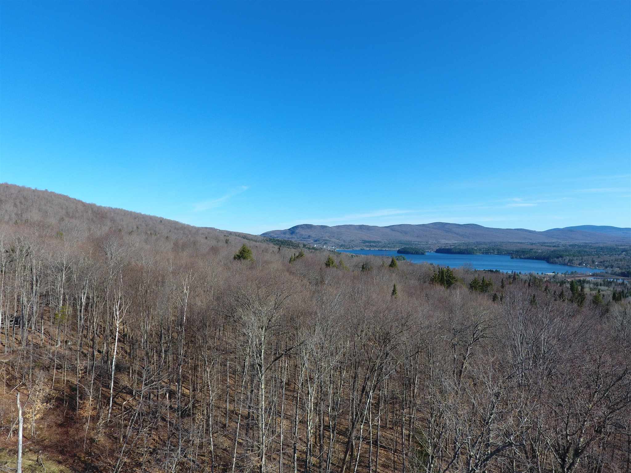 0 Moise Wood Road Island Pond, VT 05846 - Photo 8 of 19