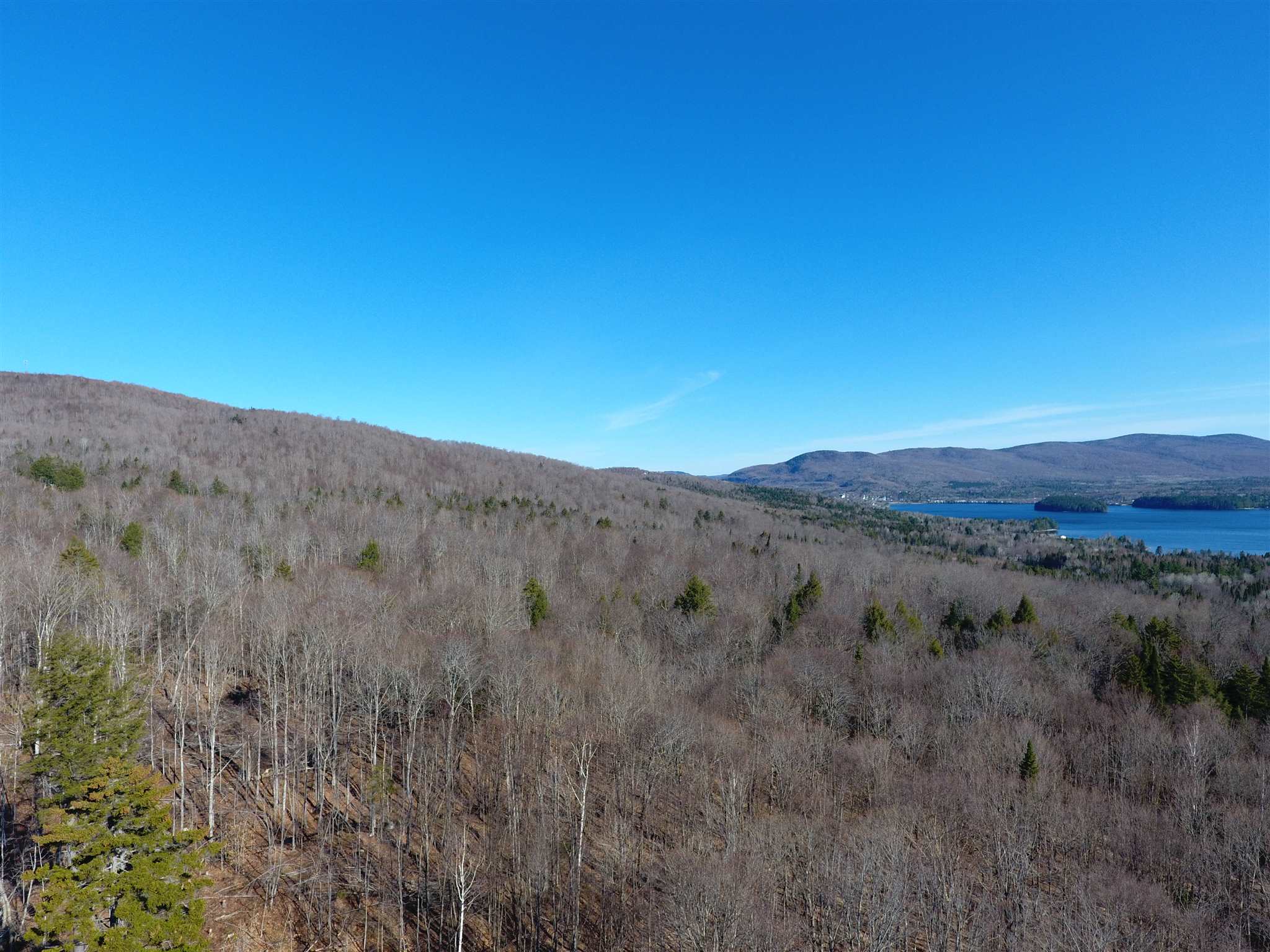 0 Moise Wood Road Island Pond, VT 05846 - Photo 10 of 19