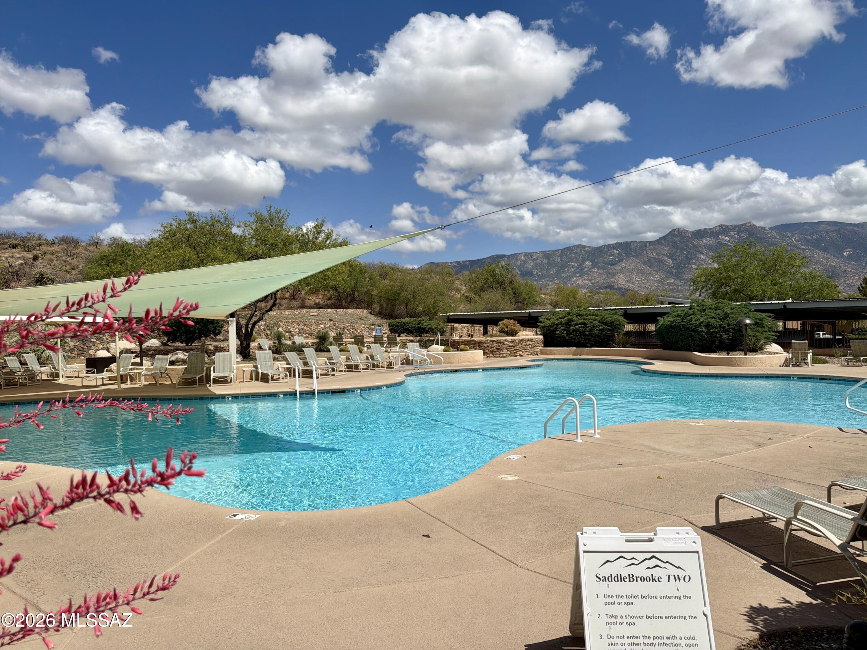 62834 East Flower Ridge Drive Tucson, AZ 85739 - Photo 30 of 45 IMG_1211