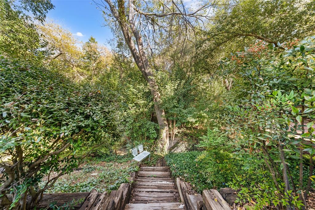 3825 North 30th Street Waco, TX 76708 - Photo 37 of 39 Backyard view of beautiful trees and nature
