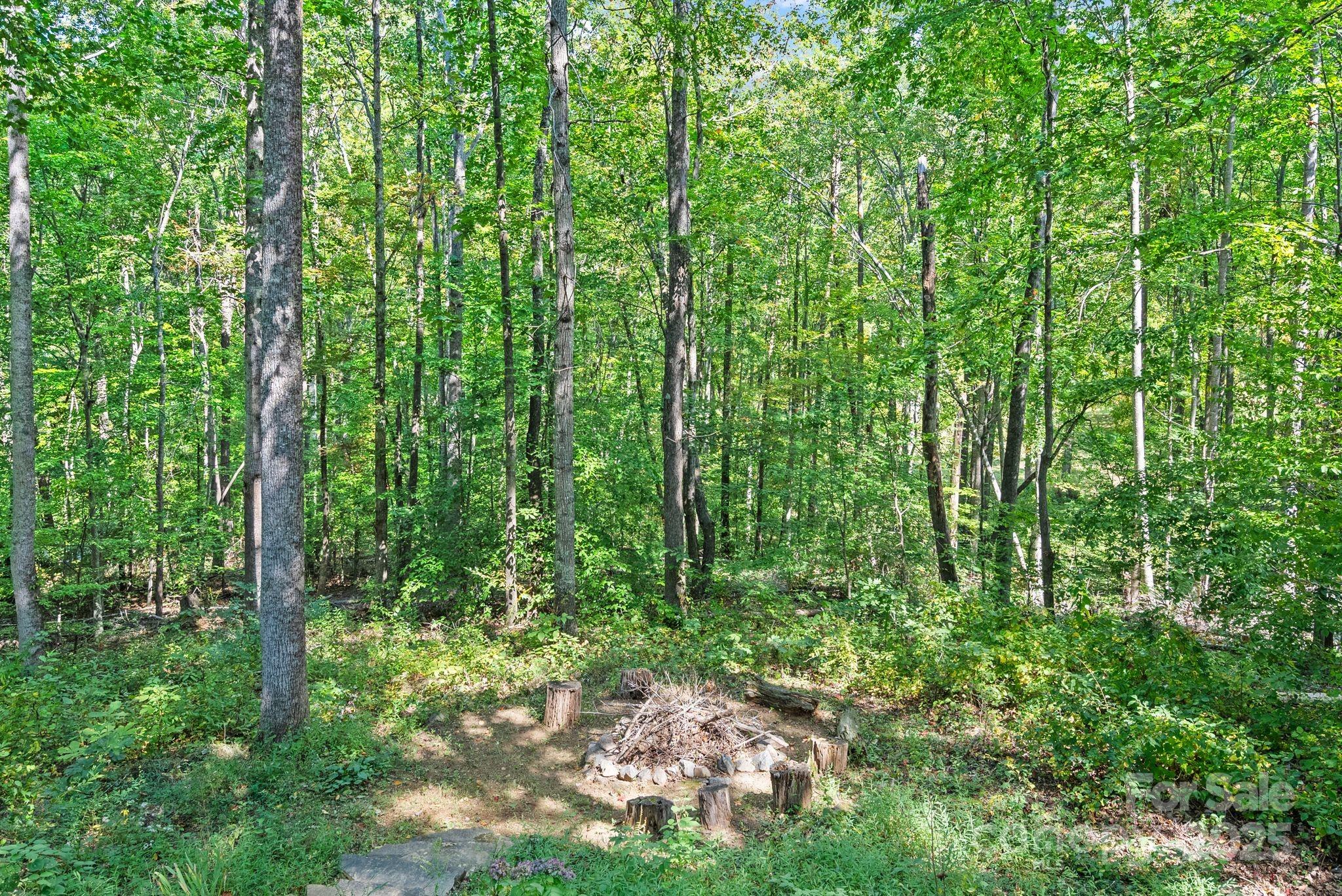 26 Benfield Road Weaverville, NC 28787 - Photo 31 of 34