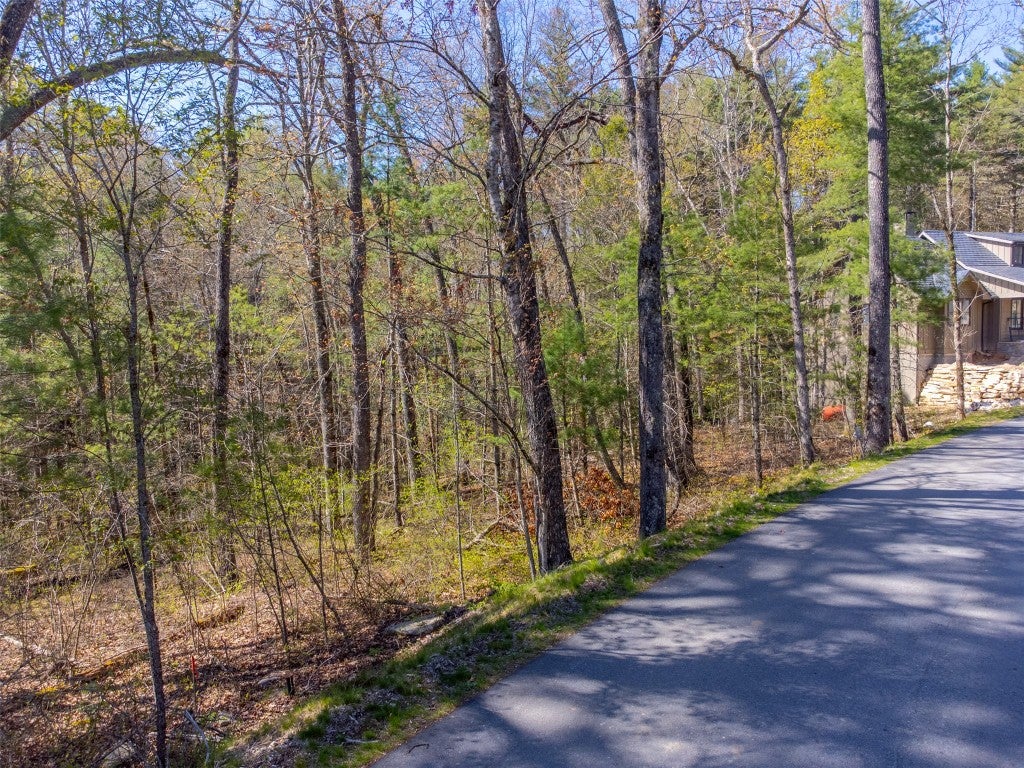 9 Norton Road Cashiers, NC 28717 - Photo 1 of 20 Gallery Image 1