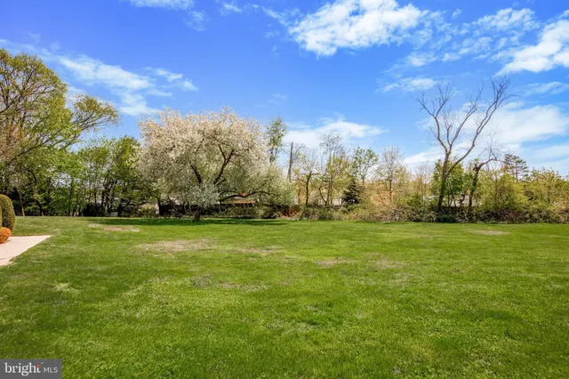 a view of field with trees in the background