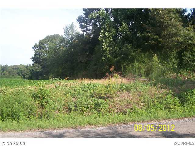 None Hazelwood Road Aylett, VA 23009 - Photo 3 of 4 Gallery Image 3