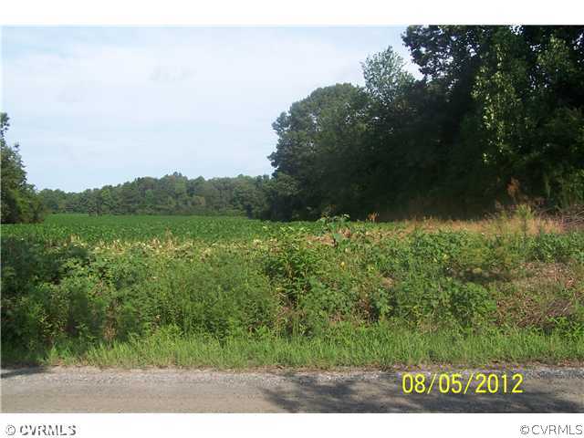 None Hazelwood Road Aylett, VA 23009 - Photo 4 of 4 Gallery Image 4