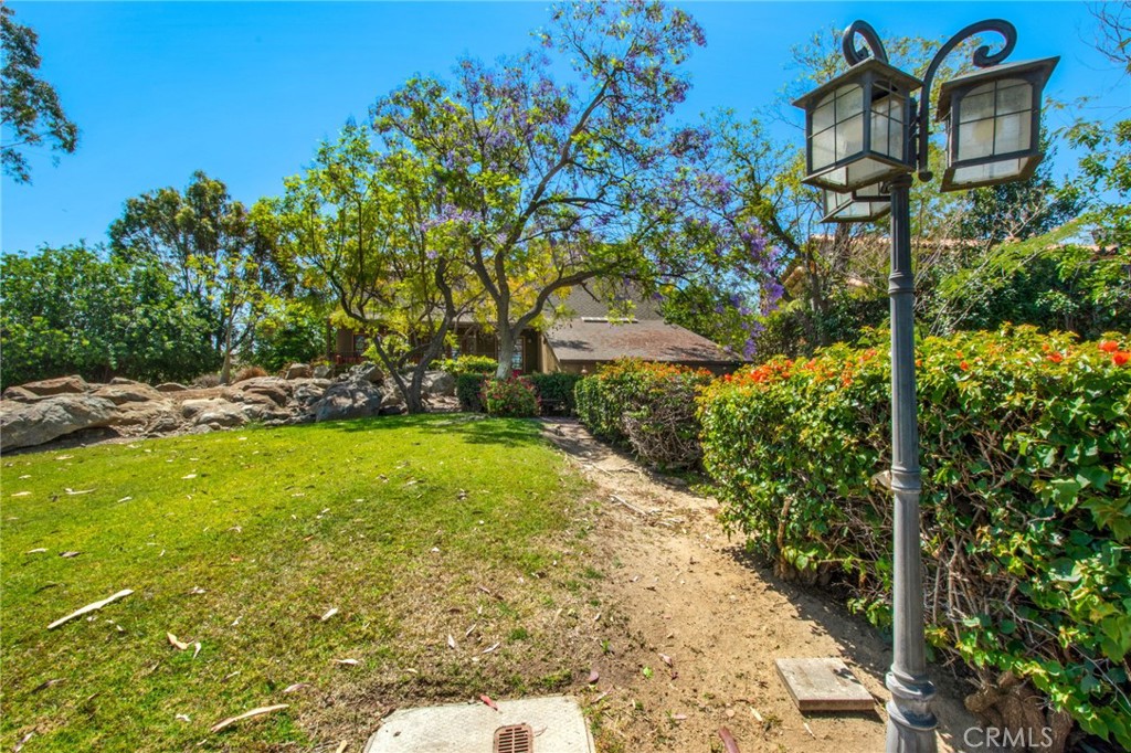 7241 Old Temescal Road Corona, CA 92881 - Photo 9 of 47 a view of swimming pool with a garden