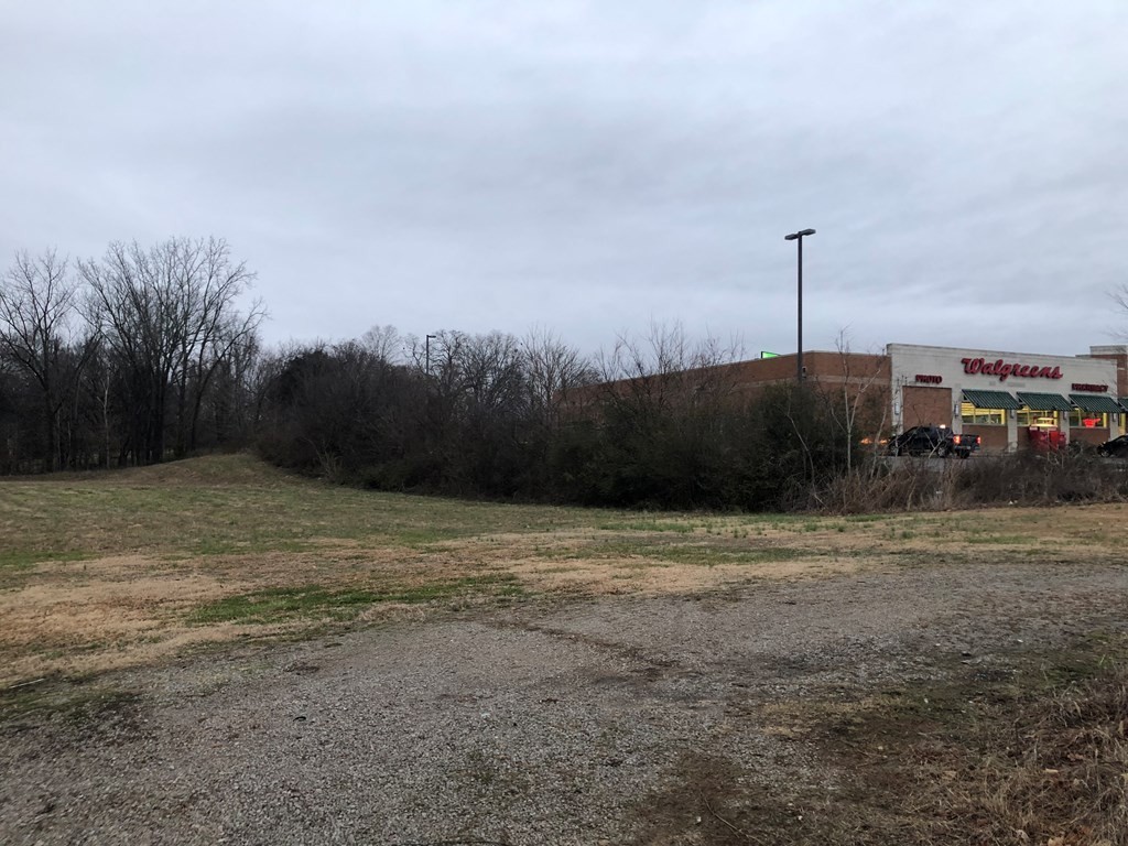 25 Mayberry Street Sparta, TN 38583 - Photo 16 of 16 a view of a backyard