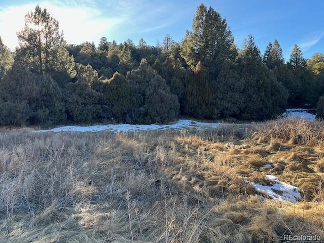 6016 Forbes Road San Luis, CO 81152 - Photo 11 of 20 a view of a yard with trees in the background